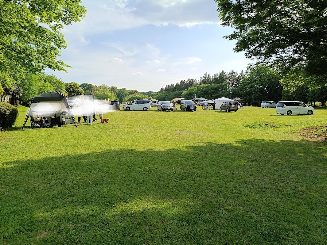 芝生広場でのイベントの様子