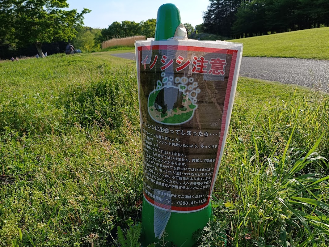 イノシシ注意の看板