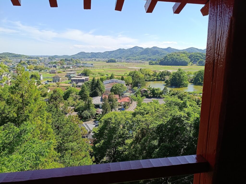 展望