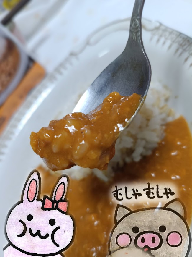 スパイシーキーマカレーをスプーンですくうところとうさ・ぶー