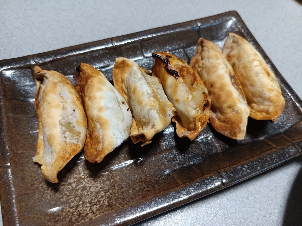 COSORIで作った揚げ餃子