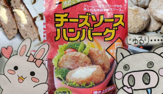 割ったハンバーグとパッケージ、冷凍のハンバーグ、うさ・ぶー