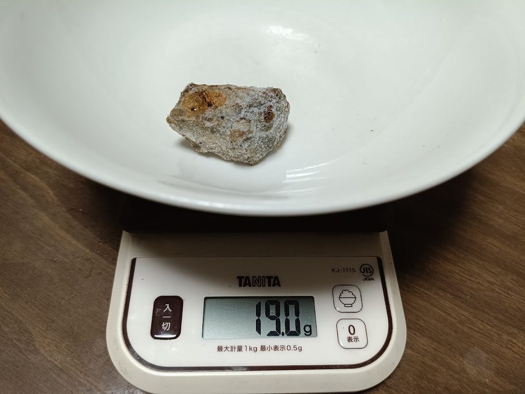 凍ったままの焼き鳥1個をお皿ごとはかりに載せた様子（19.0g）